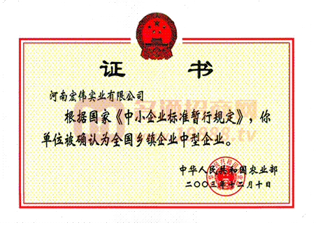 宏偉實(shí)業(yè)證書