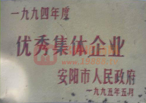 優(yōu)秀集體企業(yè)