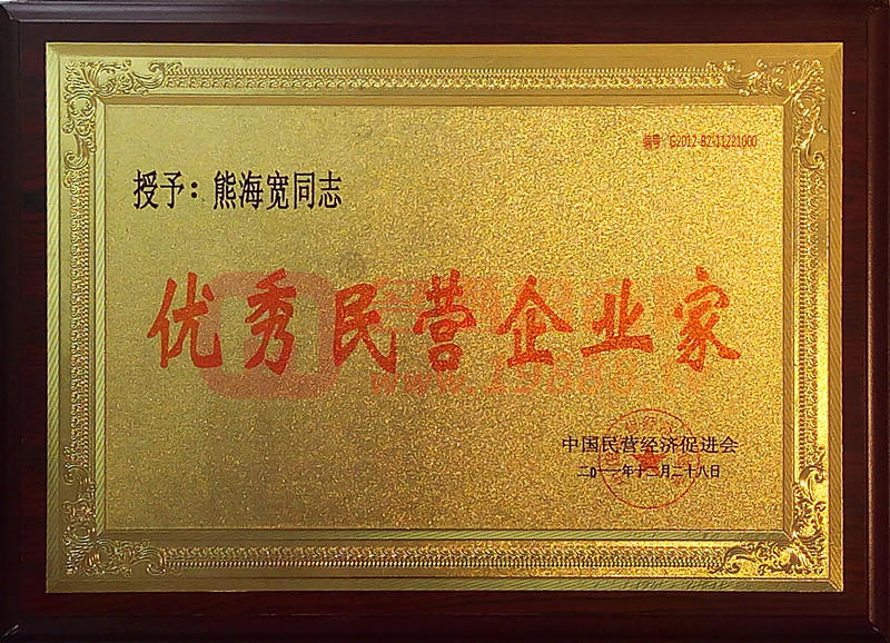 優(yōu)秀民營(yíng)企業(yè)家