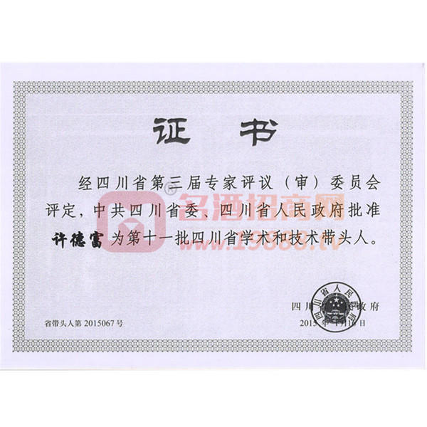 四川省學(xué)術(shù)和技術(shù)帶頭人證書